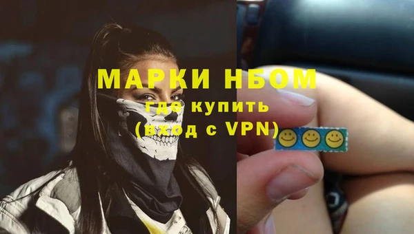 бошки Алексин