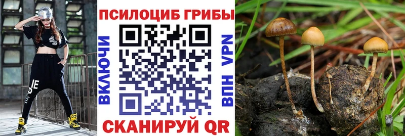 omg маркетплейс  Нижний Ломов  Псилоцибиновые грибы Psilocybe  даркнет сайт 
